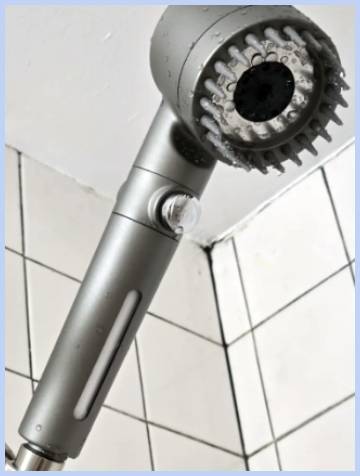purwater shower head
