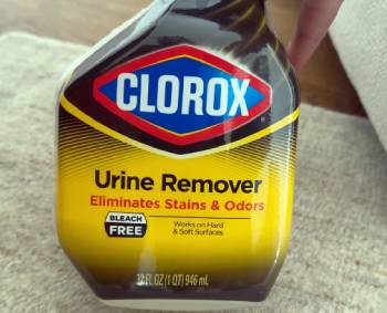 clorox urine remover