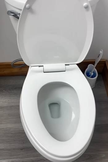 american standard rumson toilet