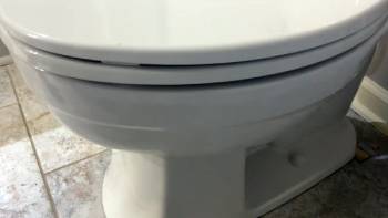 kohler elliston toilet