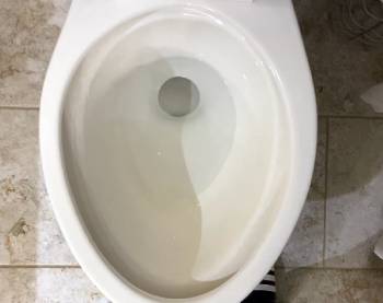 kohler elliston toilet