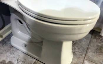 kohler elliston toilet