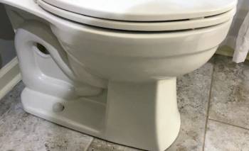 kohler leeward toilet