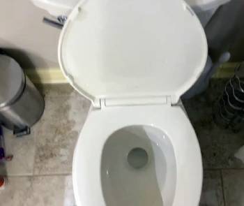 kohler leeward toilet