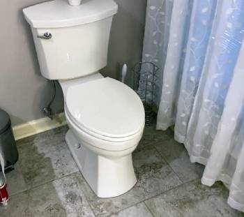 kohler leeward toilet