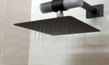 weddell duo shower filter