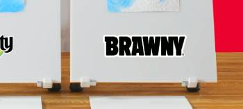 brawny vs bounty paper towels
