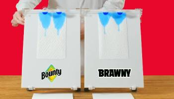 brawny vs bounty paper towels