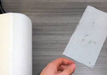 sparkle paper towels